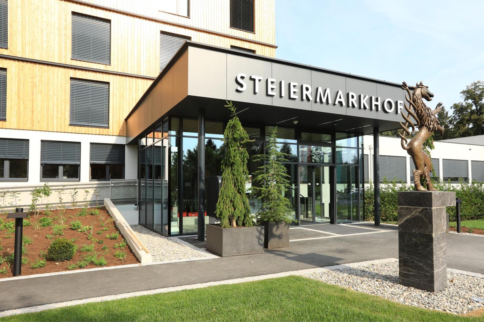 Steiermarkhof - Aus Holz Gebaut, Von Huegeln Gekuesst 4*